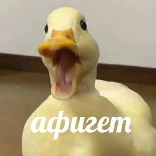 😱