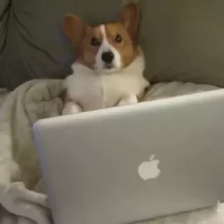 💻