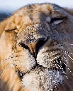 😙
