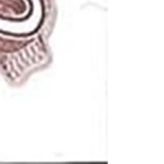 🤑