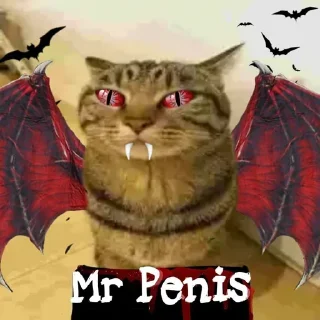 😱