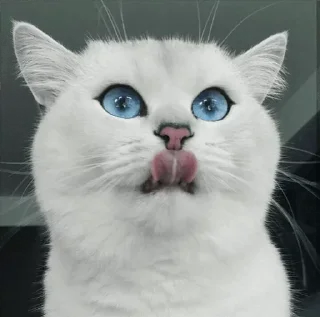 💙