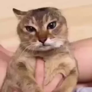 😡