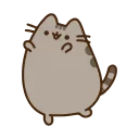 😸