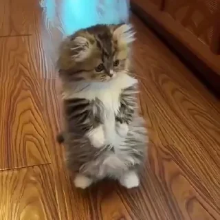 🥺