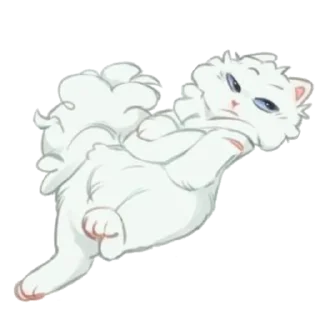 🐱