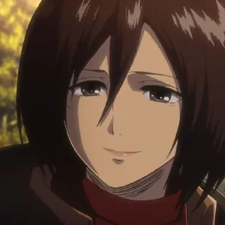 🧣