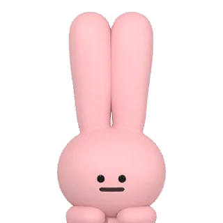 🐰