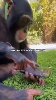 📞
