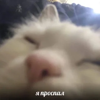 🥱