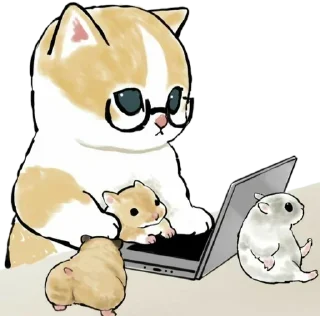 💻