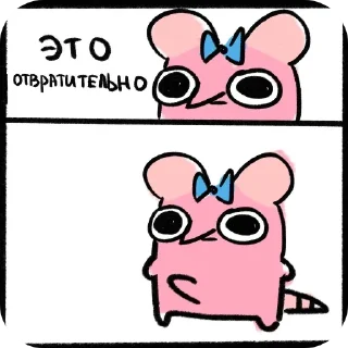🐱