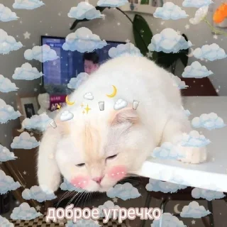 ☀️