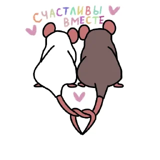 👩‍❤️‍👨
