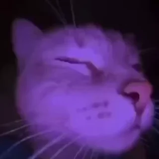 🥳