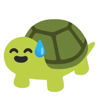 🐢