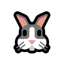 🐰