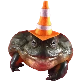 🐸