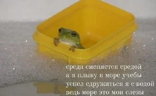 😭
