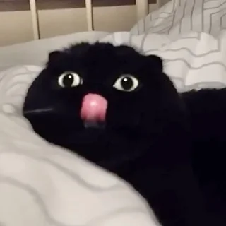 😋