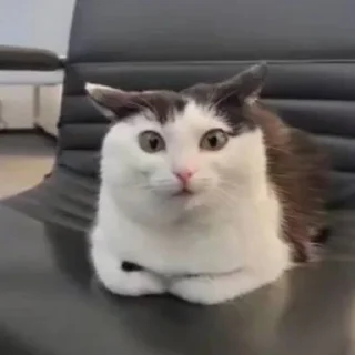 😲