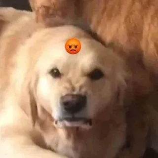 😡