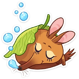😴