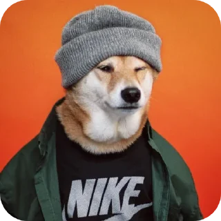 🧶