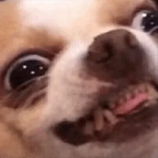 😛