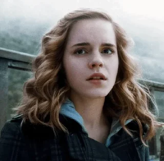 Hermione Granger @stickersb2b