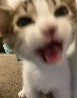 😏