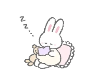 🐰