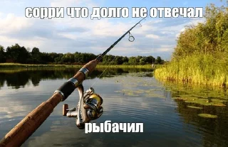 🎣
