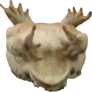 ☠