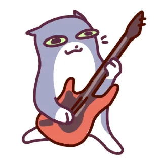 🐱