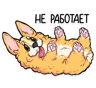 🐾