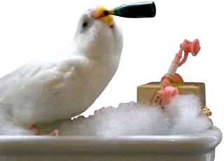🛁