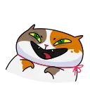 😹
