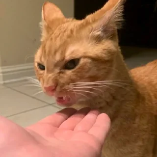 😠