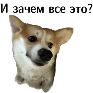 🤨