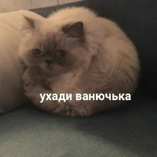 😕