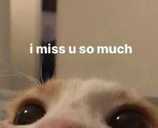🥺