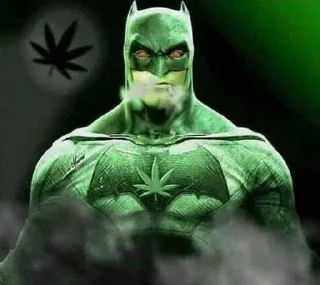 🌿