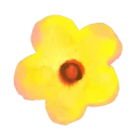 🌼