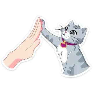 ✋