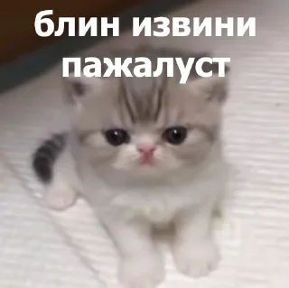 😞