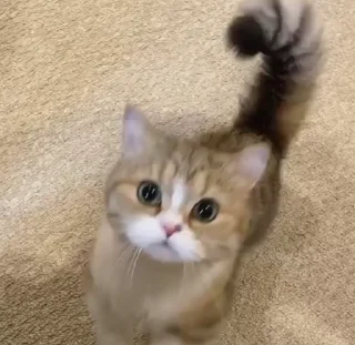 😊