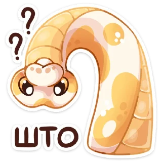 ❓