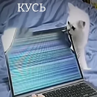 ☺️