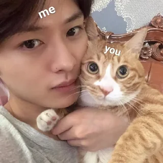 💫